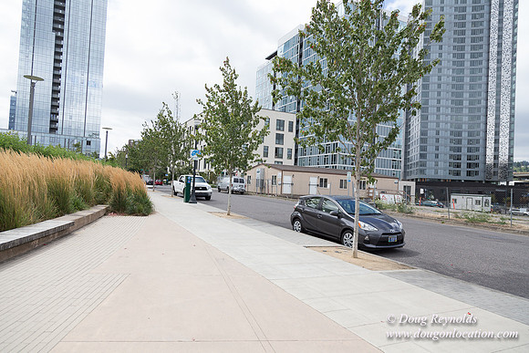 The Fields Park