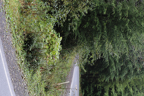 Hwy 53-0443