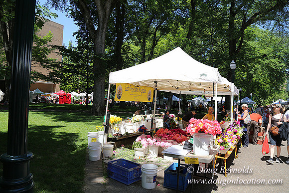 Portland PSU Farmers Mkt-5737
