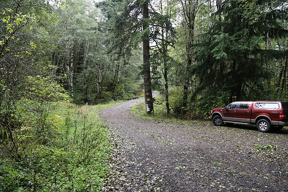 Shields Rd-0147
