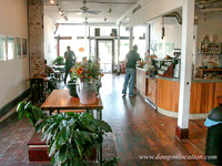 Albina Press