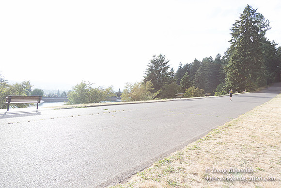Mt Tabor- View 5 SBT West