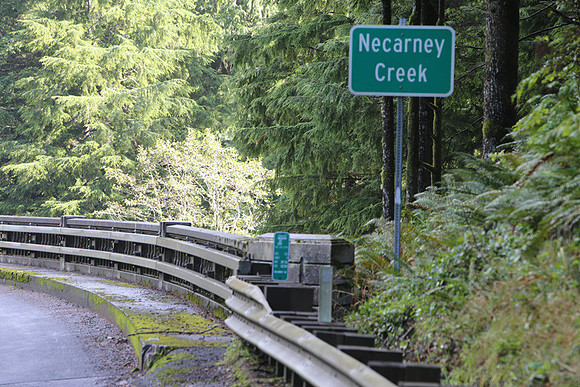 Necarney Cr 101 Brdg-1220