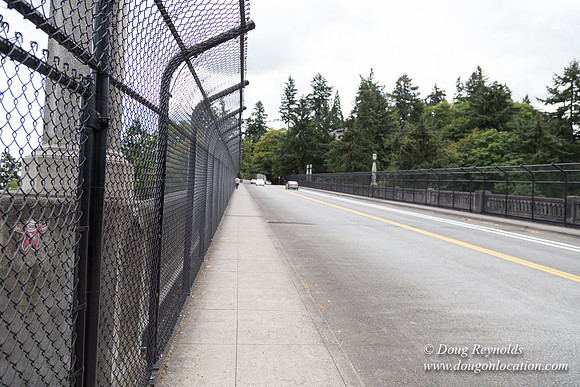 VIsta Bridge