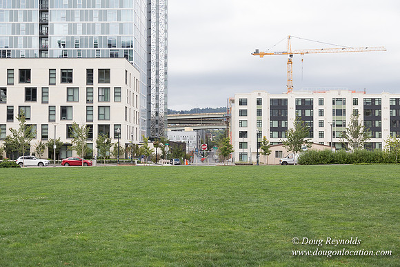 The Fields Park