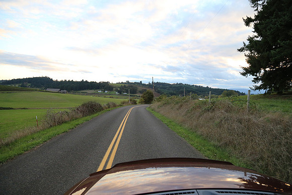 Woodland Ln-1782