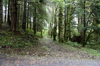 Saddle Mt Rd-0310