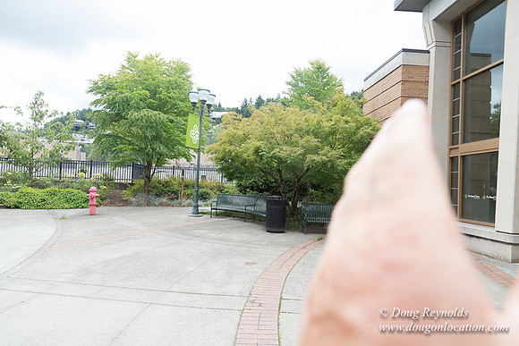 Portland Streets