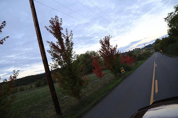 Woodland Ln-1793