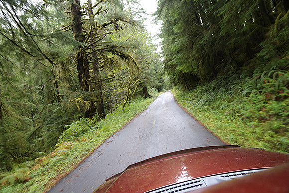 Saddle Mt Rd-0333