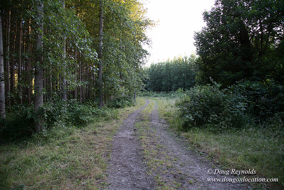 LCG & GWG Tree Farm
