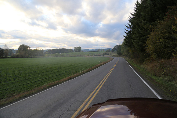 Morres Valley Rd-1702