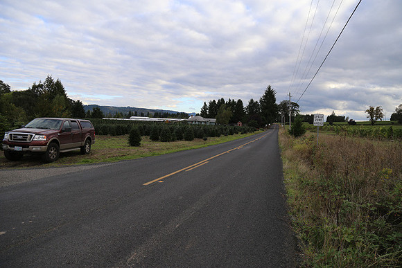 Dilly Rd-1562