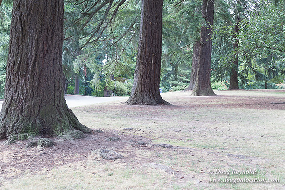 Mt Tabor Top- View 3 West