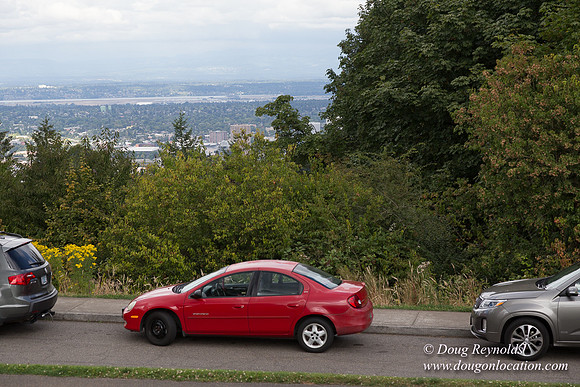 Council Crest Park View