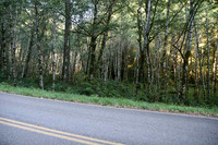 Nestucca Rvr Rd