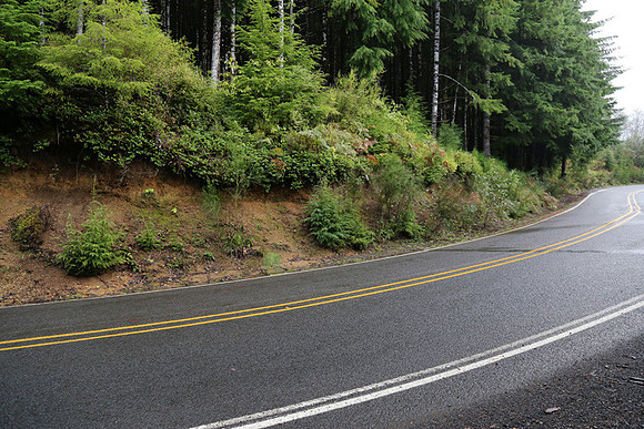 Hwy 53-0381