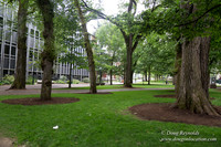 Portland Streets