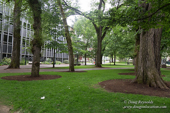 Portland Streets