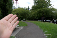 Council Crest Park View