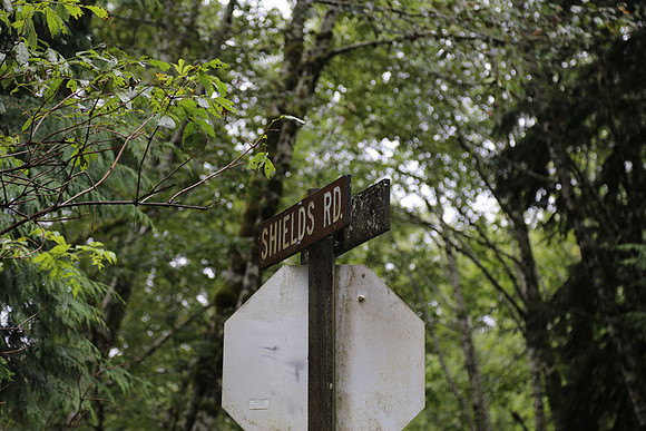 Shields Rd-0141