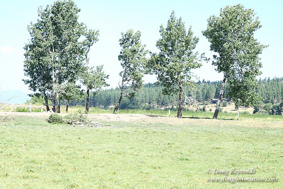 Ranch 18
