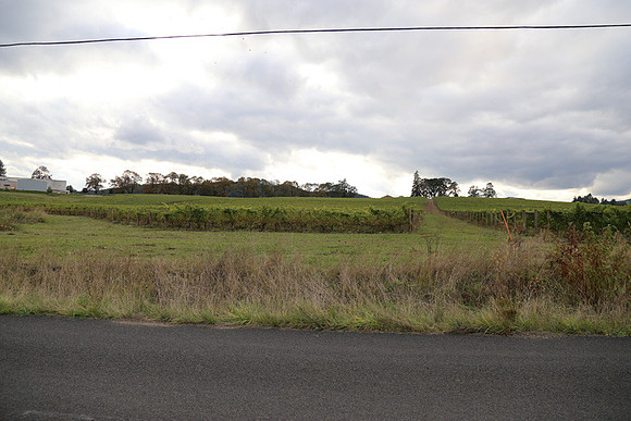 Dilly Rd-1506