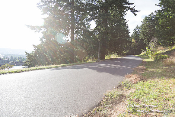 Mt Tabor- View 4 West