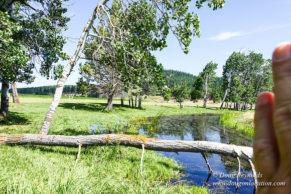 Ranch 18