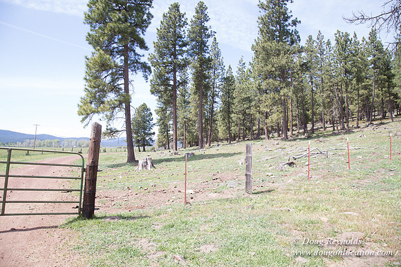 Ranch 18