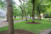 Portland Streets