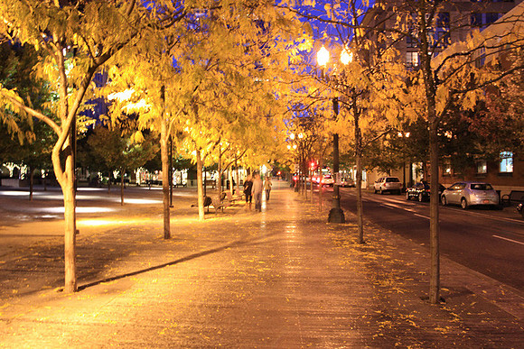 Jamason Park-6581