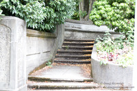 VIsta Bridge