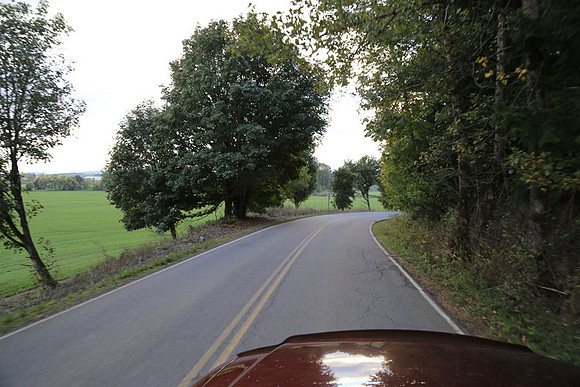 Morres Valley Rd-1699