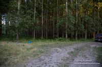 LCG & GWG Tree Farm