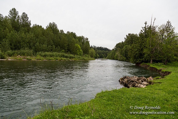 Ranch 21 at River