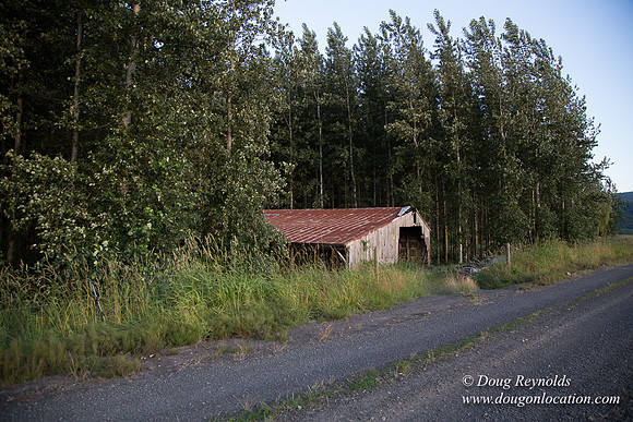 LCG & GWG Tree Farm