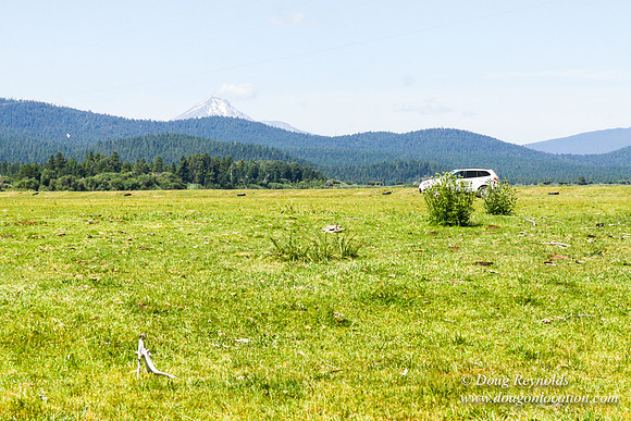 Ranch 18