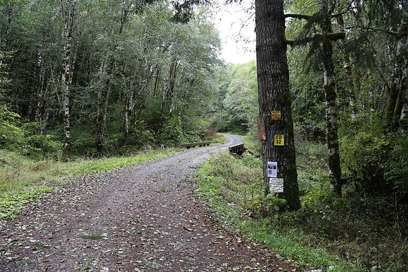 Shields Rd-0153