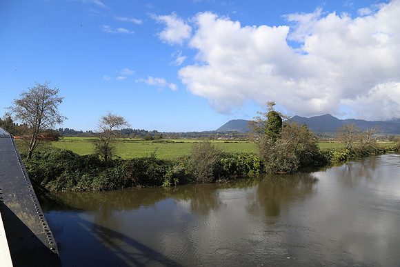 Hwy 53 Nehalem Brdg-1261