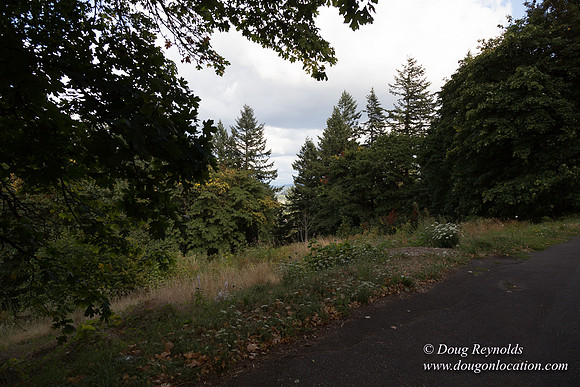 Mt tabor View 2 East