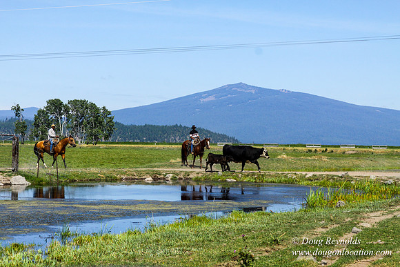 Ranch 18