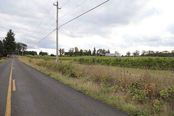 Dilly Rd-1502
