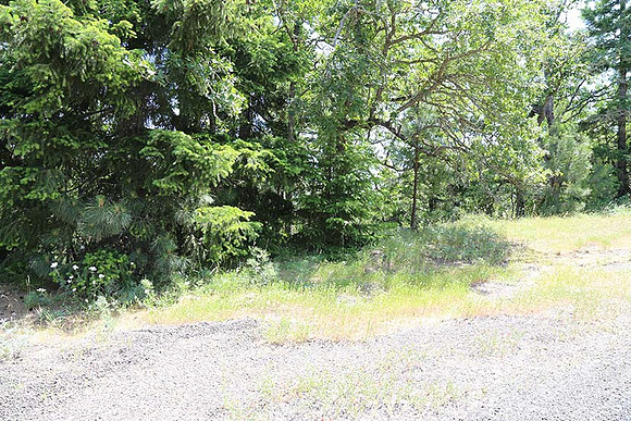 Canyon Rd 2-7957