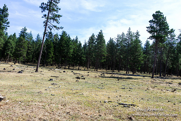 Ranch 18