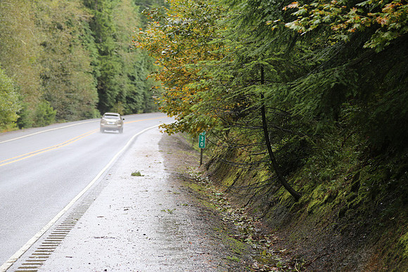 Shields Rd-0140