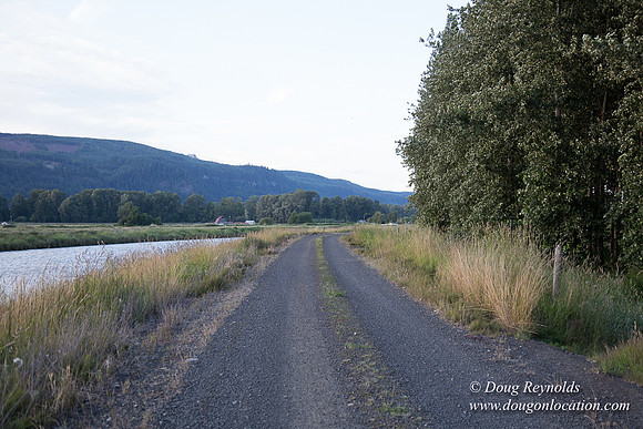 LCG & GWG Tree Farm