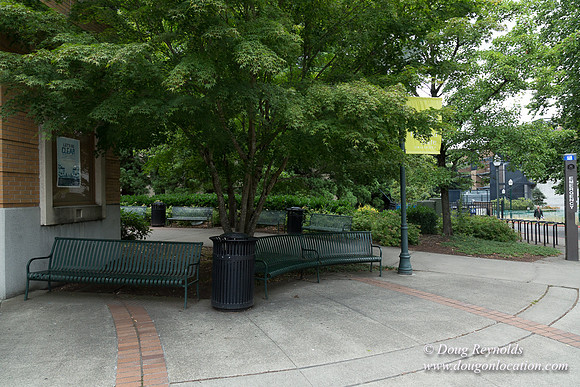 Portland Streets