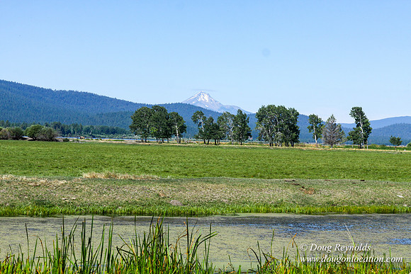 Ranch 18