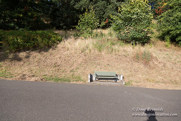 Mt Tabor- View 4 West